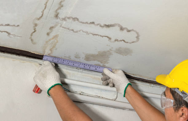 Reliable Burst Pipe Cleanup contractor in Ritzville, WA by Water Damage Irwin